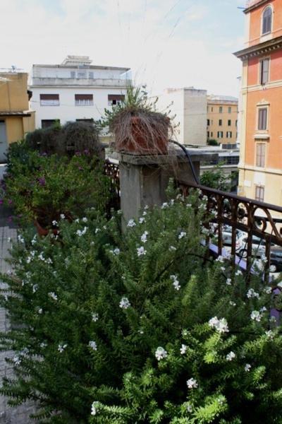 Eleven Apartment Roma Esterno foto